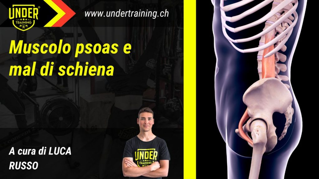 Muscolo psoas e mal di schiena