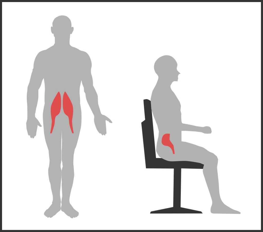 Muscolo psoas in piedi e seduti