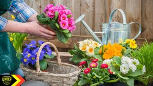 Mal di schiena e giardinaggio primavera